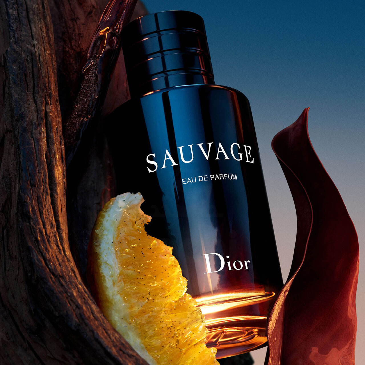Perfume Dior Sauvage Eau de Parfum Ámbar Fougère 100ml